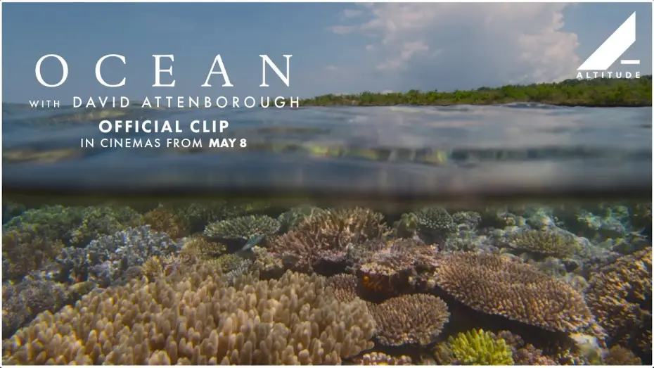 Watch film Ocean with David Attenborough | 'Scuba Diving' Clip
