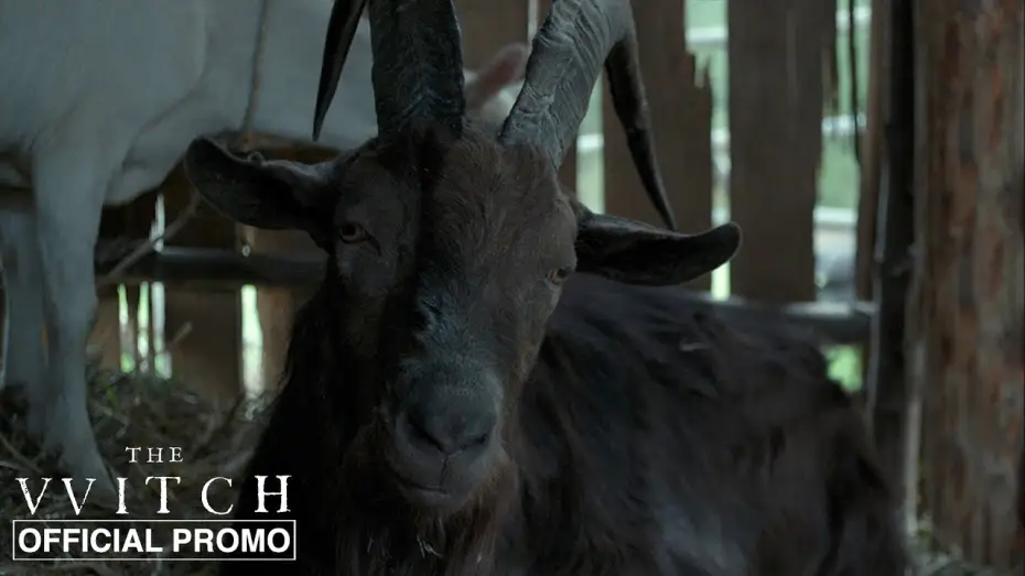 Watch film The Witch | Black Phillip - Official Promo