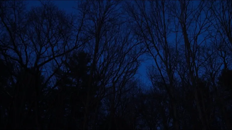 Watch film Hollow Walker of the Lake — Hollow Walker of the Lake