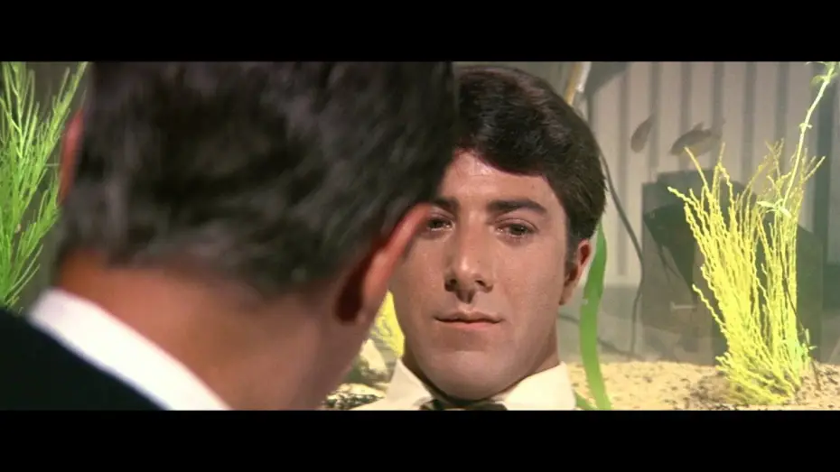 Watch film The Graduate | Il laureato - Trailer