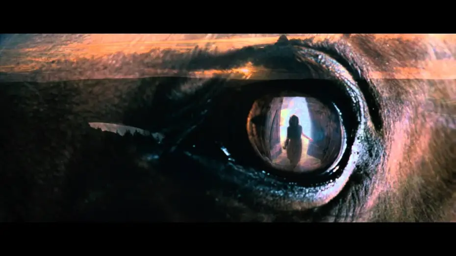 Watch film War Horse | Gef&auml;hrten   - Trailer