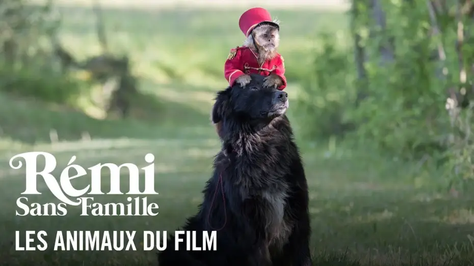 Watch film Remi, Nobody's Boy | Les animaux - R&eacute;mi sans famille