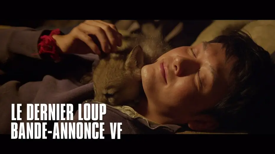 Watch film Wolf Totem | Le dernier loup - bande-annonce VF