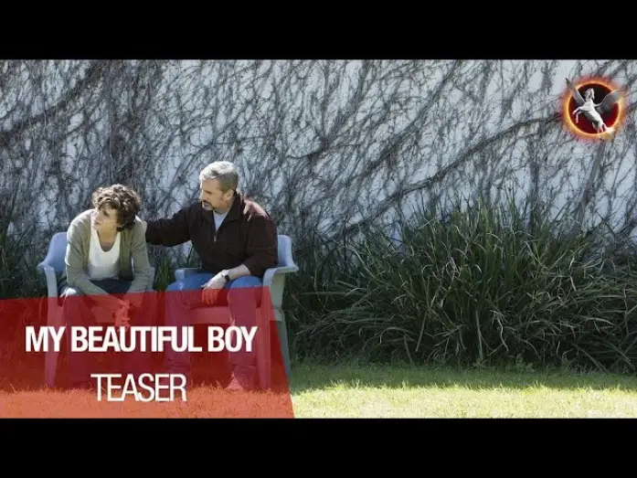 Watch film Beautiful Boy | MY BEAUTIFUL BOY - Bande Annonce 2 VOST