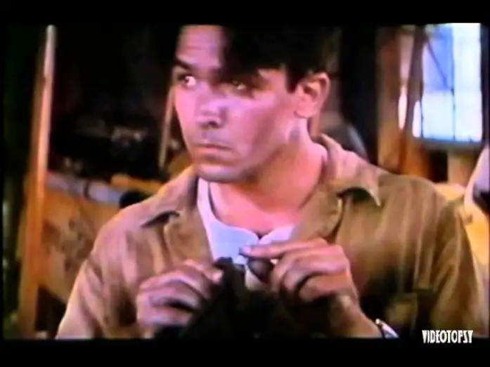 Watch film The Rocketeer | Les aventures de Rocketeer (1991) BA VF