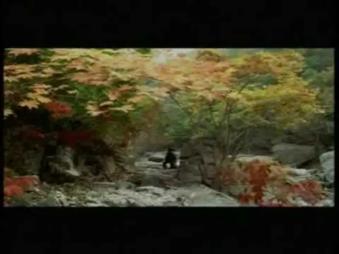 Watch film Spring, Summer, Fall, Winter... and Spring | Printemps, &eacute;t&eacute;, automne, hiver... et printemps - 봄, 여름, 가을, 겨울 그리고 봄