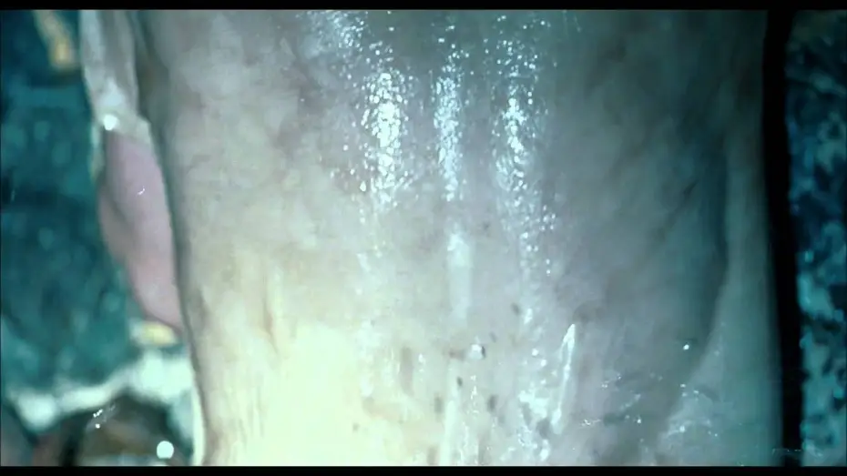 Watch film The Skin I Live In | La Piel que Habito -  Extrait 3 VOST