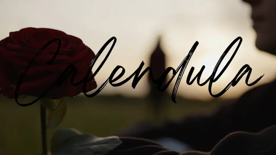 Watch film Calendula — Calendula