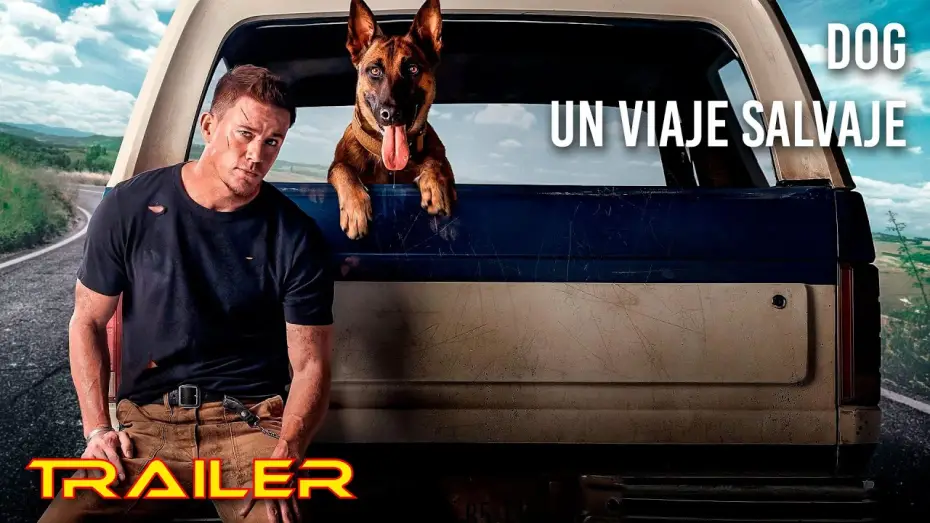 Watch film Dog | Dog.  Un viaje salvaje - Tr&aacute;iler espa&ntilde;ol