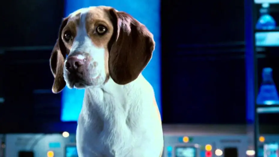 Watch film Underdog — Underdog - Unbesiegt weil er fliegt - Trailer
