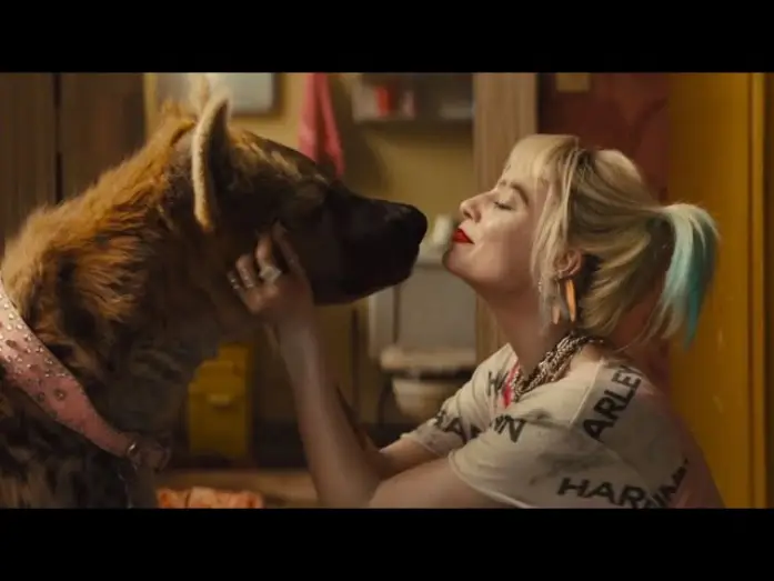 Watch film Birds of Prey (and the Fantabulous Emancipation of One Harley Quinn) | Aves de Presa - Tr&aacute;iler Oficial 2