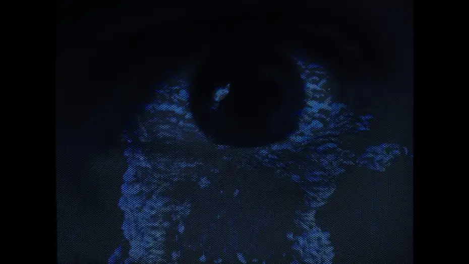 Watch film Traces of Tracking — Traces of Tracking – A Short Film