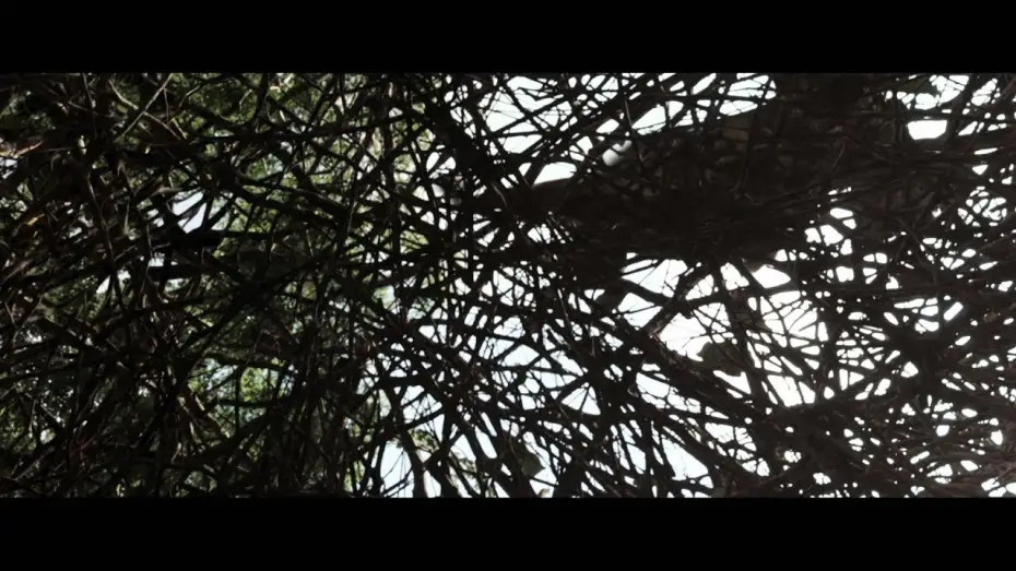 Watch film After Earth | Bird Fight VOST