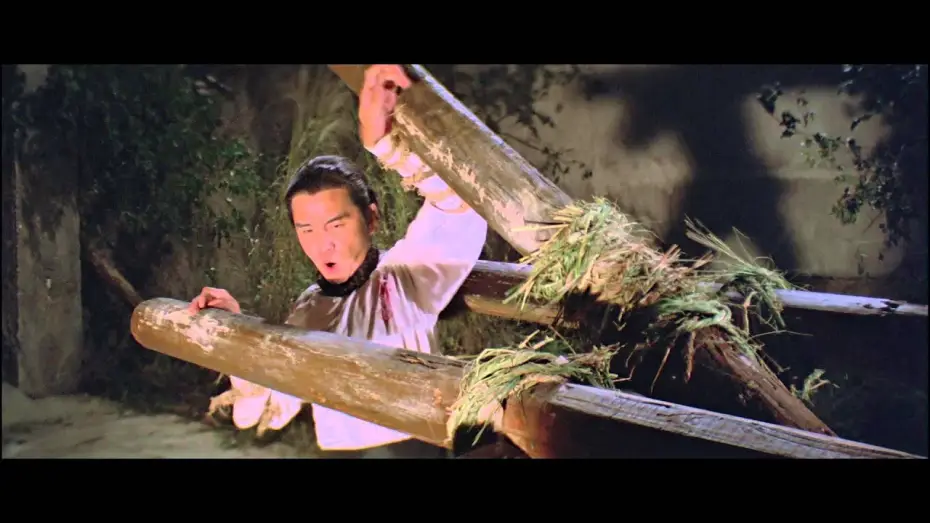 Watch film Shaolin Mantis | Shaolin Mantis - Trailer