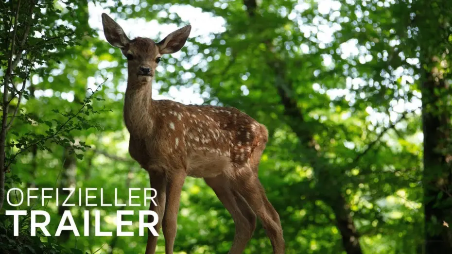 Watch film Bambi: A Tale of Life in the Woods | Bambi - Eine Lebensgeschichte aus dem Walde  | Trailer (Deutsch / German) | 2025