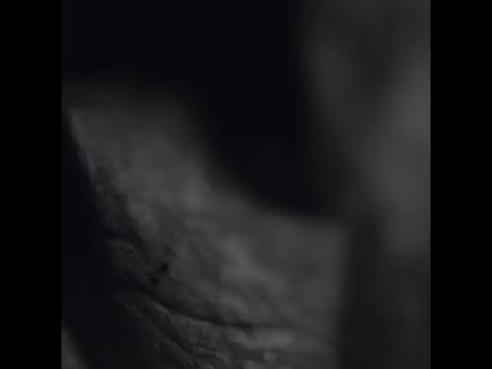 Watch film Halloween | Teaser for HALLOWEEN... Full trailer coming soon... STAY TUNED
