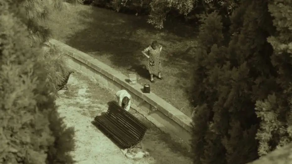 Watch film Women picking up olives | Mujeres recogiendo olivas (Guillermo Amengual, 2024)