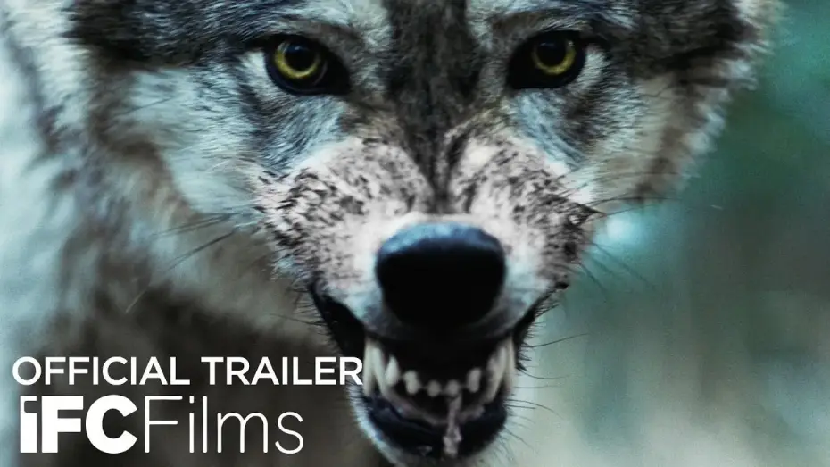 Watch film Out Come the Wolves | Official Trailer