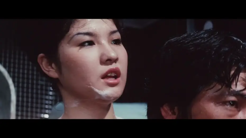 Watch film Night of the Felines | Night of the Felines (1972) | Trailer | Noboru Tanaka