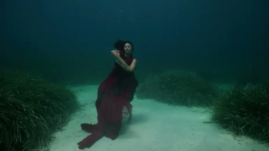 Watch film The Swimming Diaries — The Swimming Diaries Trailer (2024)