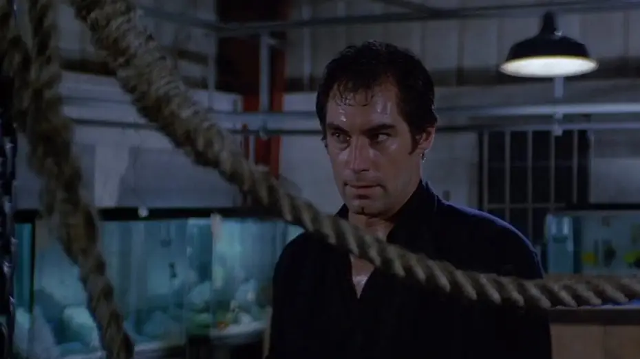 Watch film Licence to Kill | Revenge on Killifer
