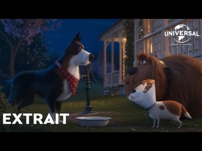 Watch film The Secret Life of Pets 2 | Comme des B&ecirc;tes 2 - Extrait : "Rico donne des conseils" VOST