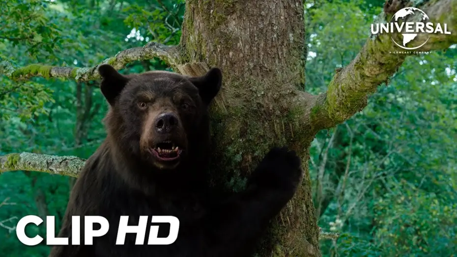 Watch film Cocaine Bear — Clip - Peter se olvida de que los osos saben trepar árboles