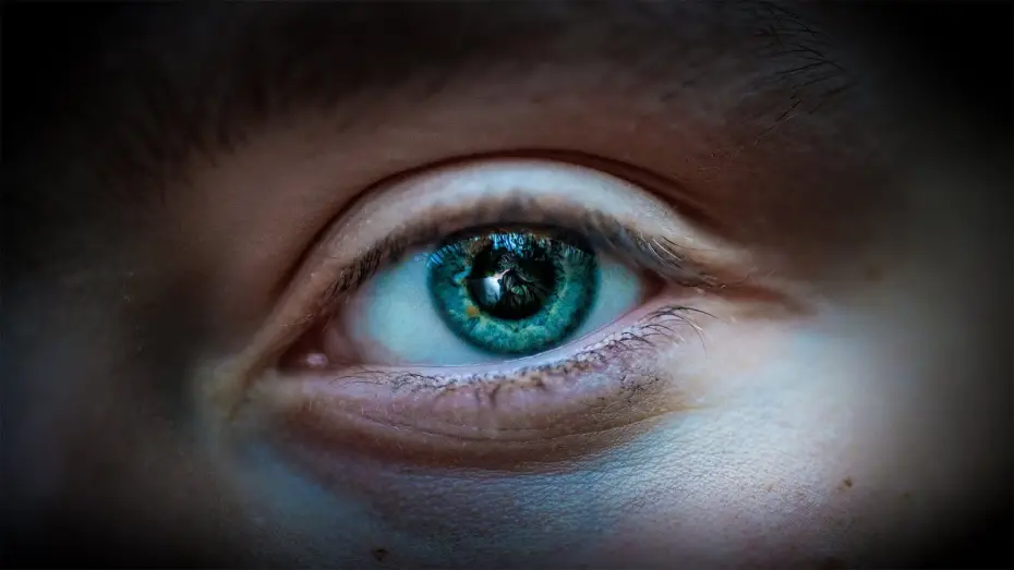 Watch film my days with you | ימיי איתך