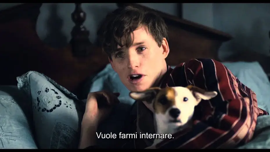 Watch film The Danish Girl | THE DANISH GIRL di Tom Hooper - Featurette "Alicia Vikander" (sottotitoli in italiano)