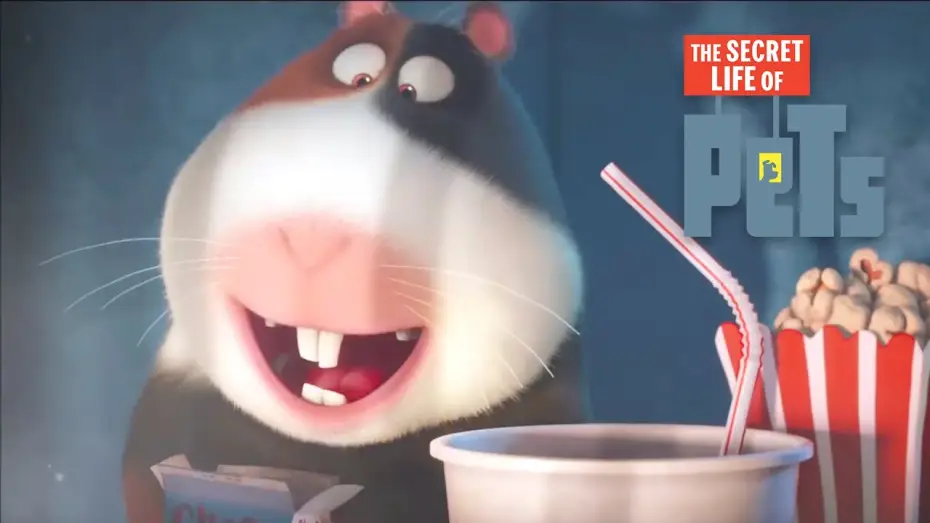 Watch film The Secret Life of Pets | Norman's TV - Film Clip