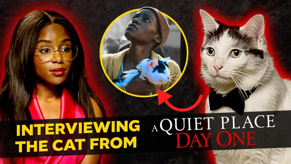 Watch film A Quiet Place:&nbsp;Day One | An Exclusive Interview with The Cat from A Quiet Place: Day One