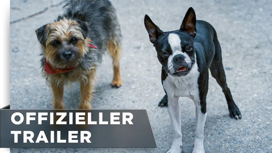 Watch film Strays — Offizieller Trailer #3