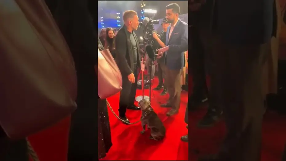 Watch film Venom 3 | A VIP cutie patootie 🖤 Blue stole our hearts