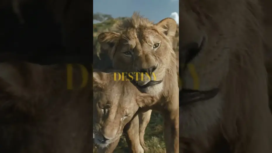 Watch film Mufasa: The Lion King | Be the First to Watch at Home Today. Buy It Now Only On Digital