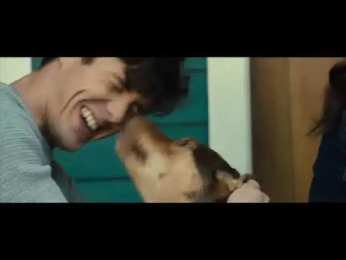 Watch film A Dog's Way Home | L&rsquo;Incroyable Aventure de Bella - Extrait "Rentre &agrave; la Maison" VF