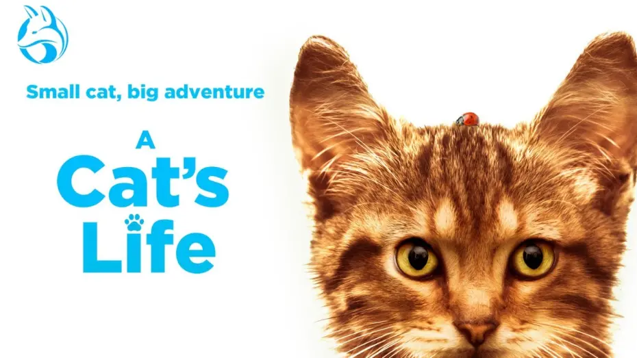Watch film A Cat's Life | Official US Trailer [Dubbed]