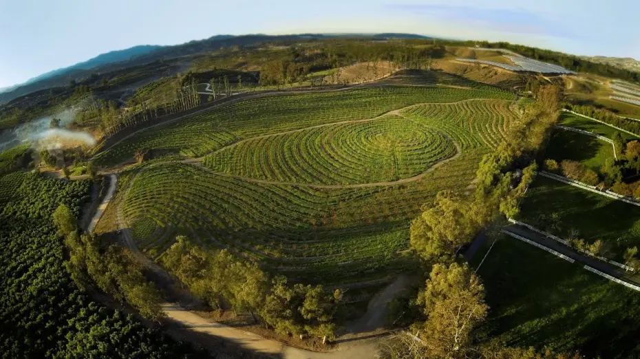 Watch film The Biggest Little Farm | The Biggest Little Farm - Official Trailer Canada