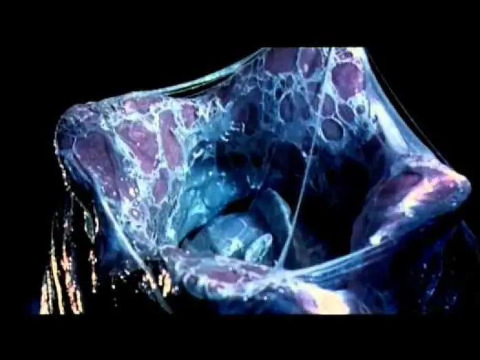 Watch film AVP: Alien vs. Predator | alien vs predator trailer ita