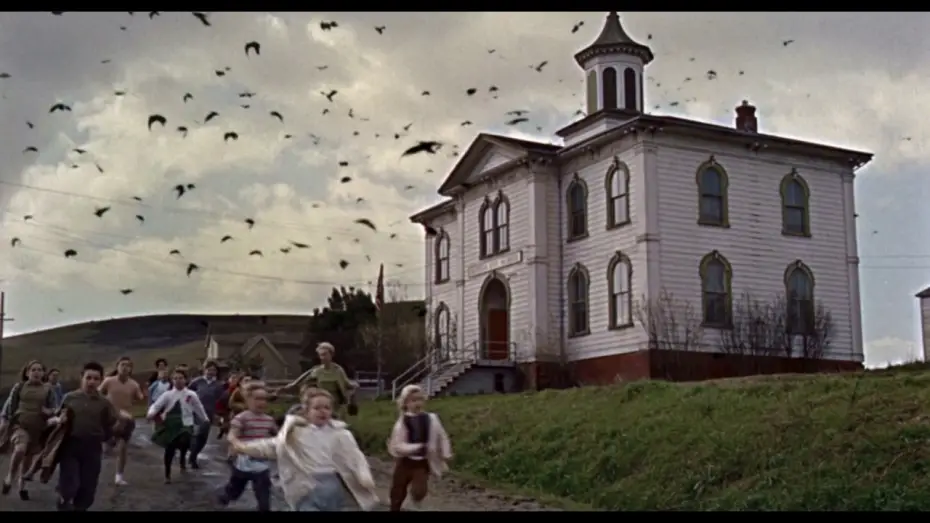 Watch film The Birds — Alfred Hitchcock Die Vögel Trailer deutsch 2017