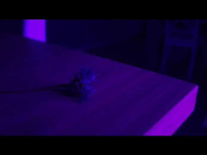 Watch film Centaurea | Centaurea | Teaser &ndash; Film ind&eacute;pendant r&eacute;alis&eacute; au t&eacute;l&eacute;phone