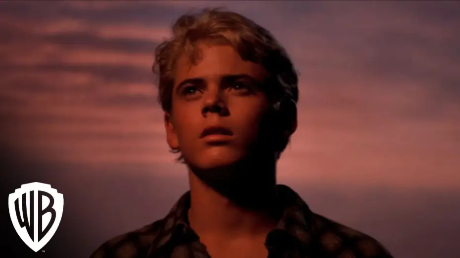 Watch film The Outsiders | The Complete Novel | Trailer