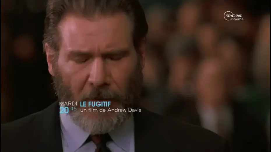 Watch film The Fugitive | LE FUGITIF - MARDI 10 JANVIER, 20.45