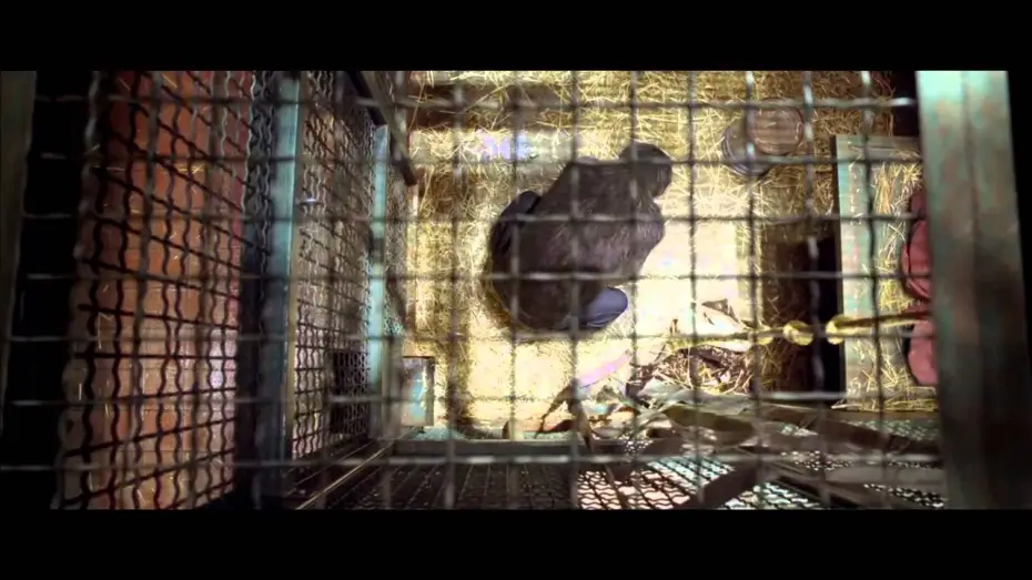 Watch film Rise of the Planet of the Apes — L'alba del pianeta delle Scimmie Trailer Launch