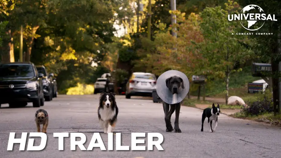 Watch film Strays — Offizieller Red Band Trailer