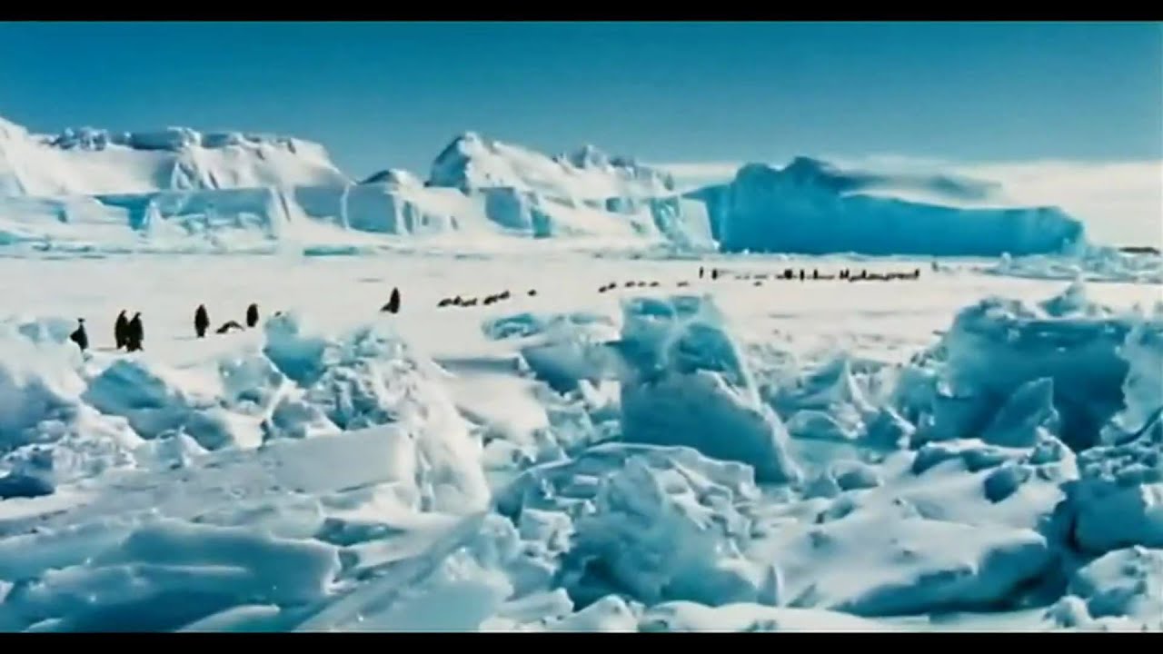 Watch film March of the Penguins | March Of The Penguins Trailer [HD]