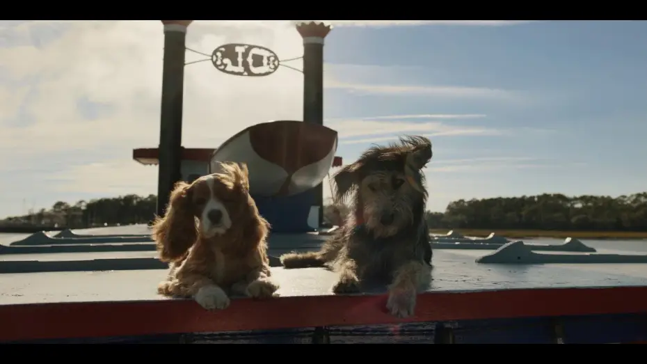 Watch film Lady and the Tramp — La Dama y el Vagabundo de Disney+ | Tráiler oficial | HD