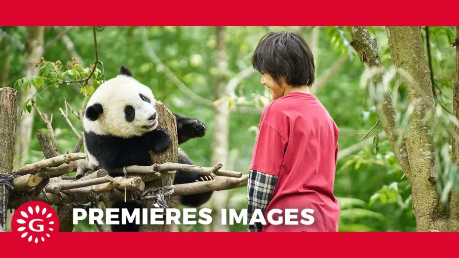 Watch film Moon the Panda — MOON LE PANDA - Premières images [Le 9 avril au cinéma ]