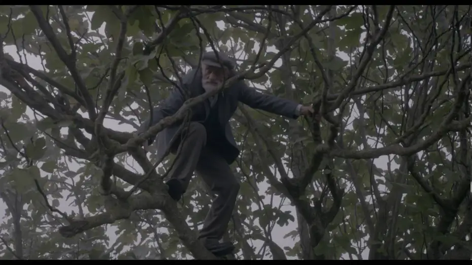 Watch film Fig | Fig (Trailer)