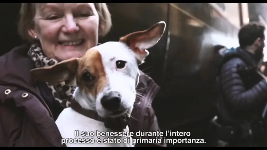 Watch film The Danish Girl | THE DANISH GIRL di Tom Hooper - Featurette "Pixie" (sottotitoli in italiano)