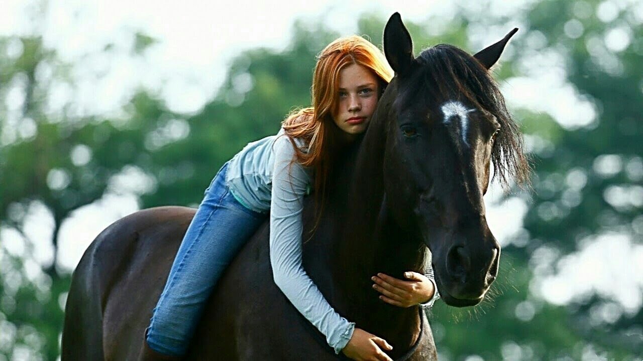 Watch film Windstorm | Восточный ветер &mdash; Русский трейлер (2020)